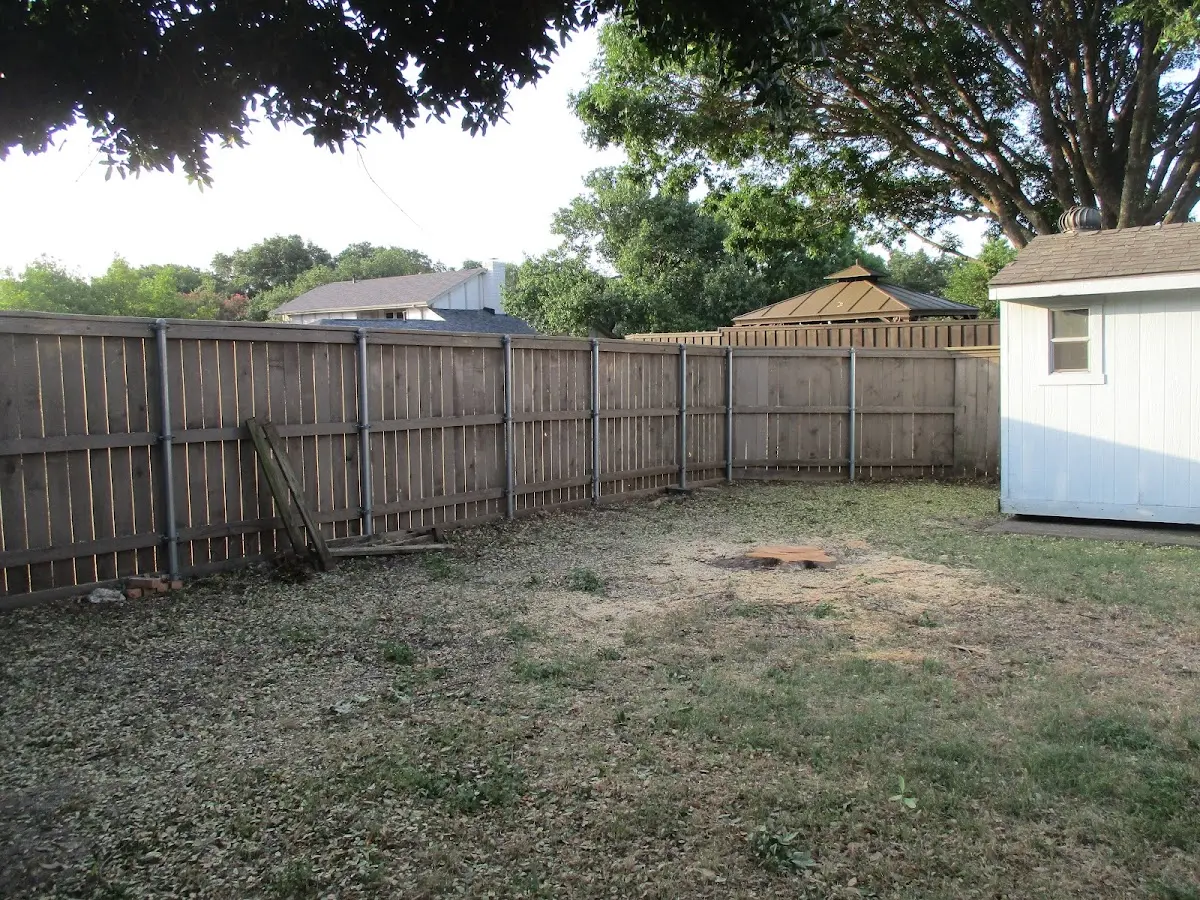 Cleared yard after professional tree removal in Des Lacs